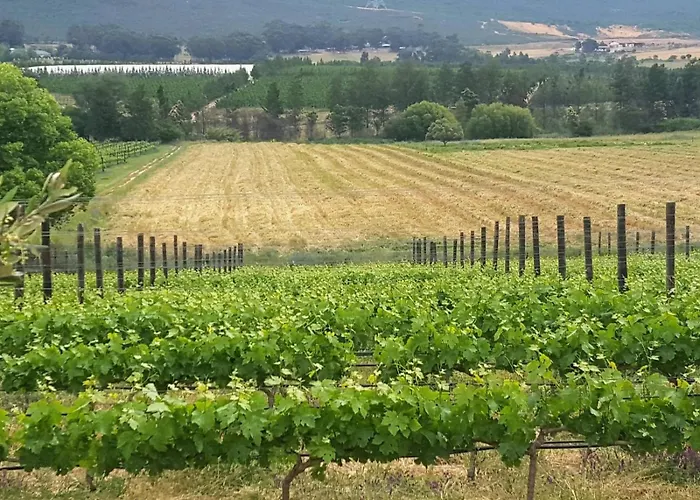 Lemberg Wine Estate